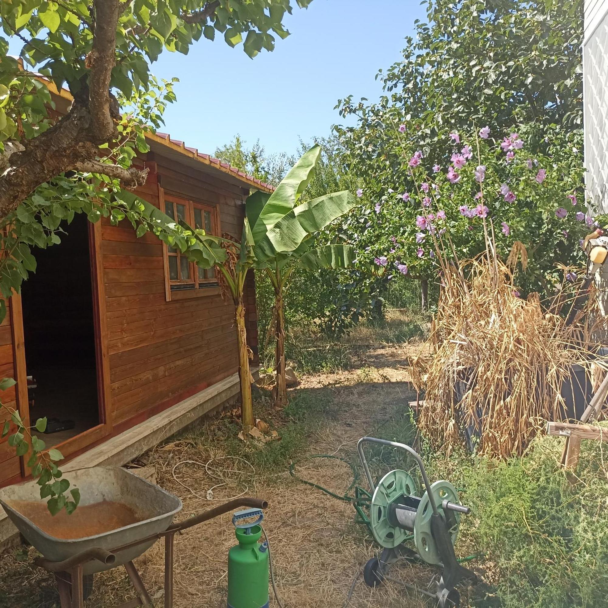 Ripe'S Forest Garden Guest House โรม ภายนอก รูปภาพ