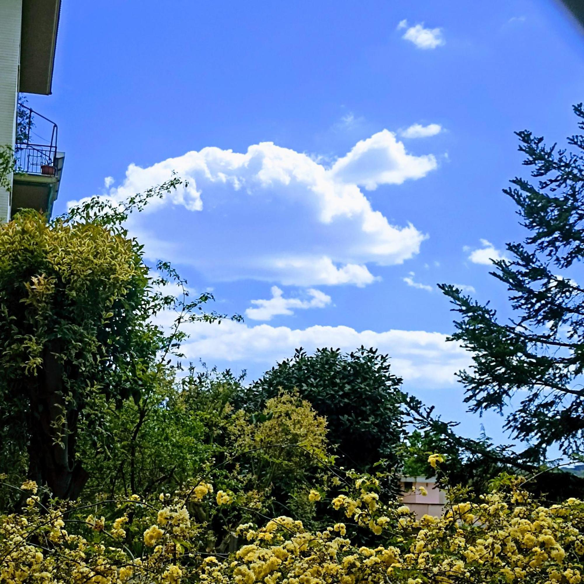 Ripe'S Forest Garden Guest House โรม ภายนอก รูปภาพ